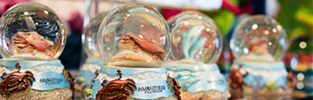 Close up of beach themed snow globes.