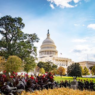 Washington DC
