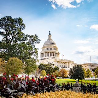 Washington DC